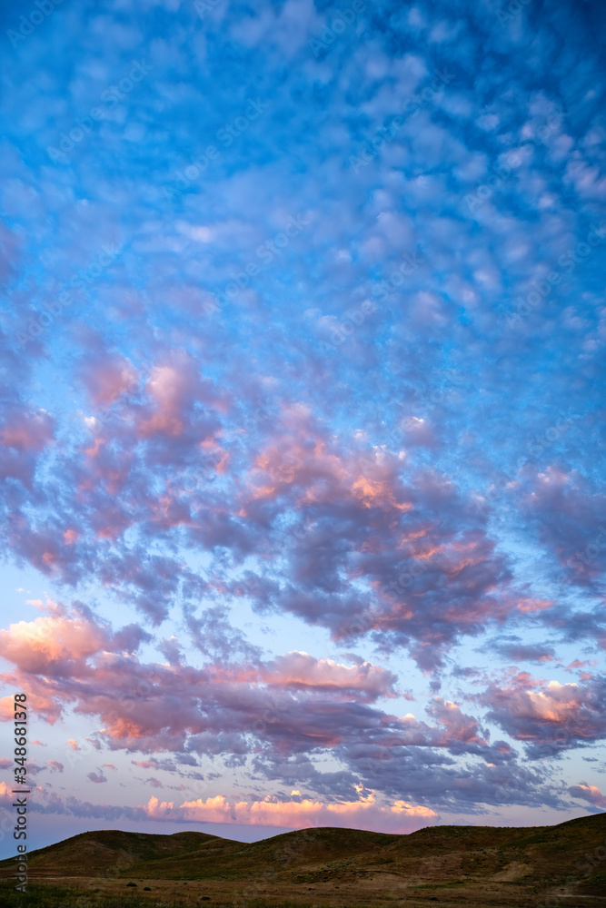 Pink and Purple Altocumulus Clouds at Sunset - Vertical
