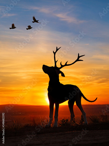 silhouette of a great dane with antlers looking at birds in the sky