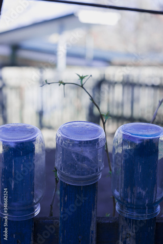 Fototapeta Naklejka Na Ścianę i Meble -  Cans hang on a blue fence