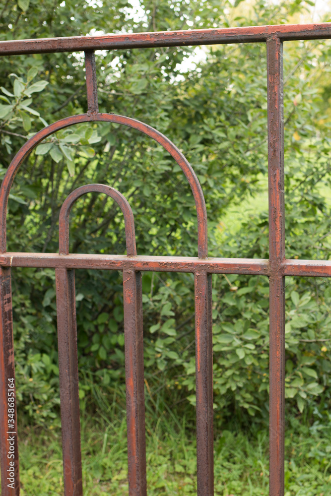 Rusty metal fence in the forest. Green trees behind the fence Rusty metal fence in the forest. Green trees behind the fence