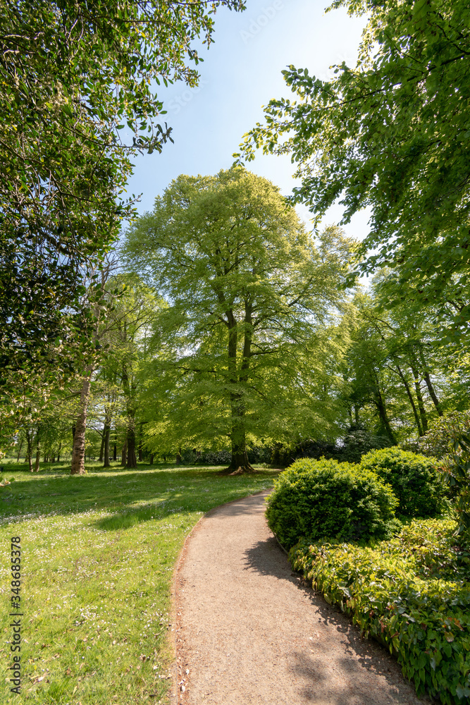 East Frisian Park in spring with sunshine