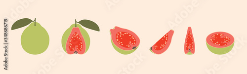 Guava Whole Half and Cut Simple Vector Set