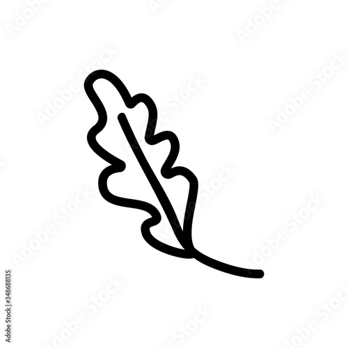 vitamin leaf arugula icon vector. vitamin leaf arugula sign. isolated contour symbol illustration