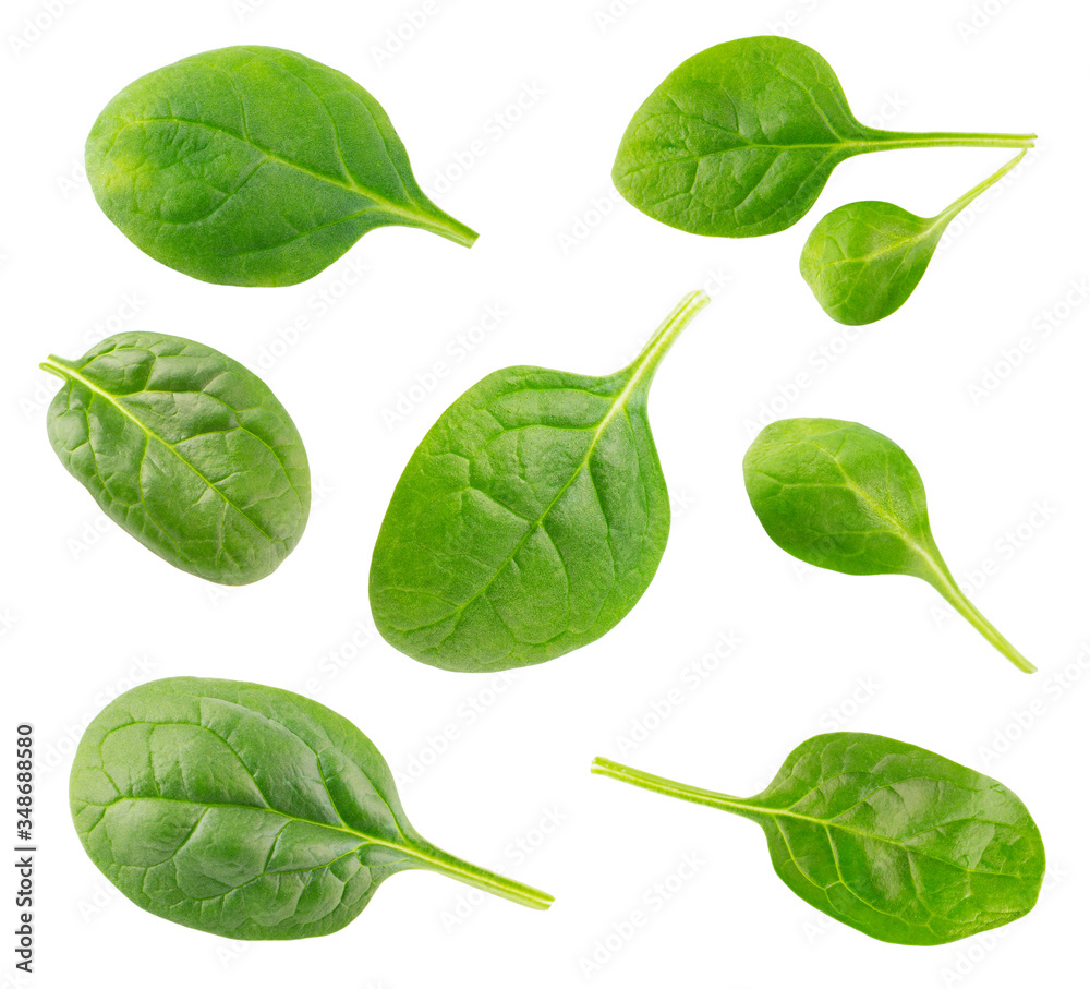 Fresh green spinach leaves isolated on a white background Fresh green spinach leaves isolated on a white background