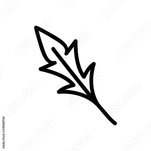 variety of arugula leaf icon vector. variety of arugula leaf sign. isolated contour symbol illustration