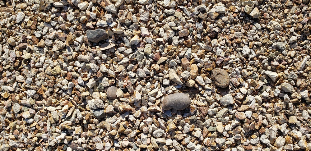 Close up of pebbles in an Arizona dry garden.