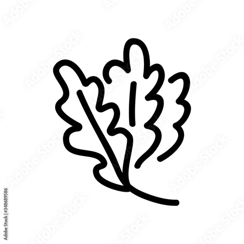 vegan plants arugula leaves icon vector. vegan plants arugula leaves sign. isolated contour symbol illustration