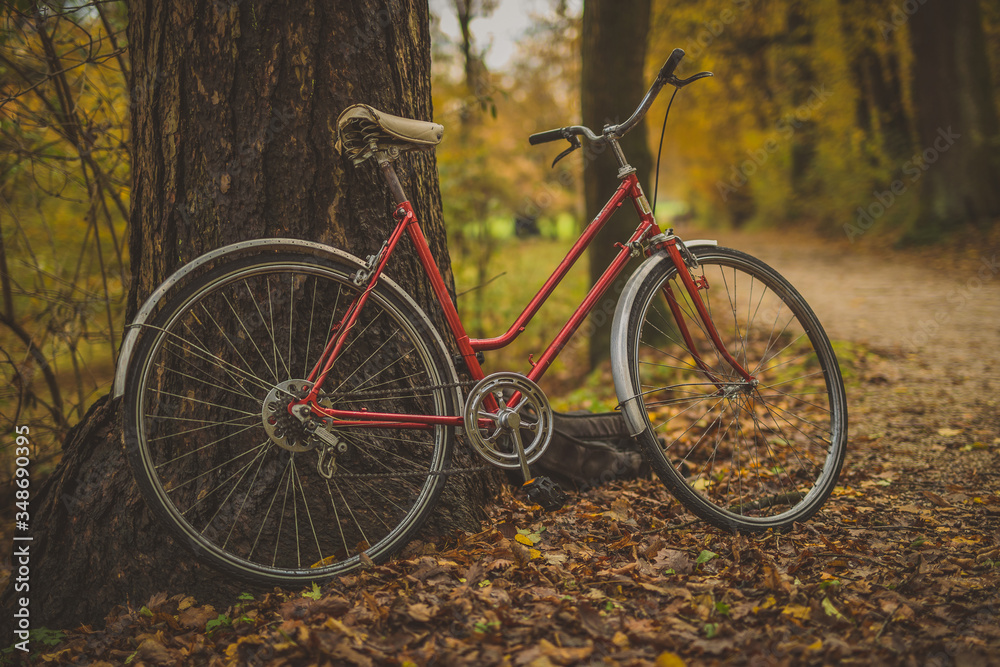Side photo of old vintage bicycle leaning on a tree in a park between leaves trees and other foliage. Concept of outdoor activities or commuting during a romantic season.