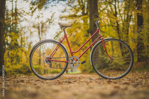 Side photo of old vintage bicycle parked on a path in a park between leaves trees and other foliage. Concept of outdoor activities or commuting during a romantic season.