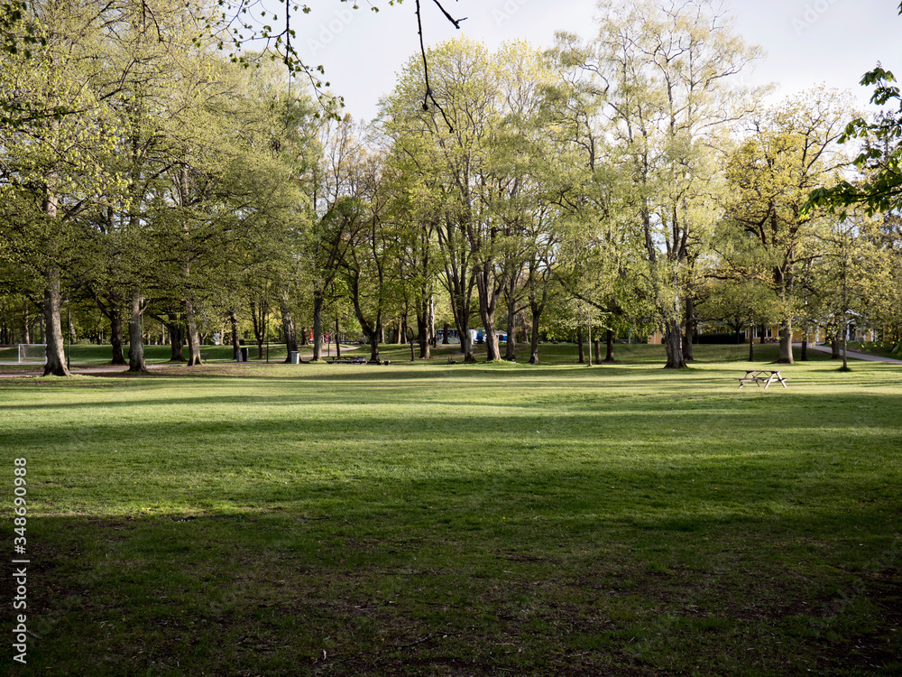 city park field in spring