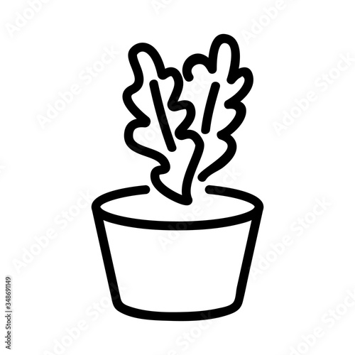 arugula in pot icon vector. arugula in pot sign. isolated contour symbol illustration