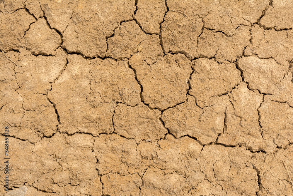 Dry cracked earth texture