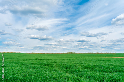 Green field and blue sky with white cloud