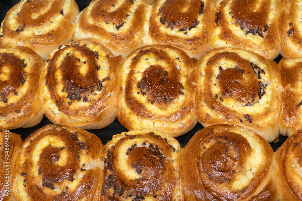 Patties with cottage cheese and raisins. Cheesecake, pie with cottage cheese. Pies dense side by side on a baking sheet