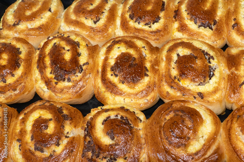 Obraz na płótnie Patties with cottage cheese and raisins. Cheesecake, pie with cottage cheese. Pies dense side by side on a baking sheet w salonie