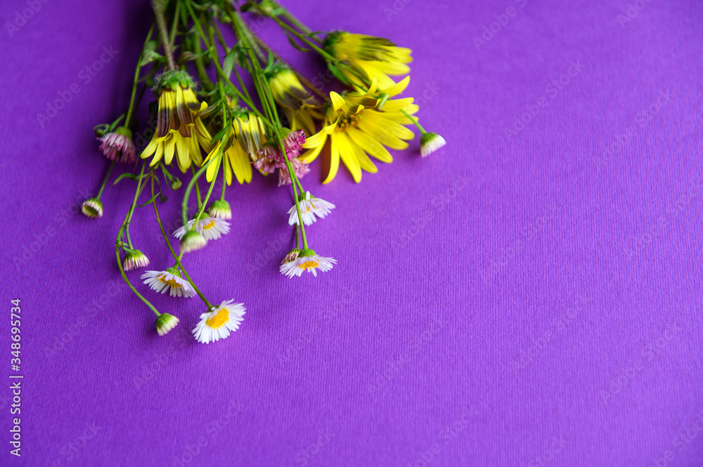 Wildflowers in a yellow envelope on a purple background. Selective focus.