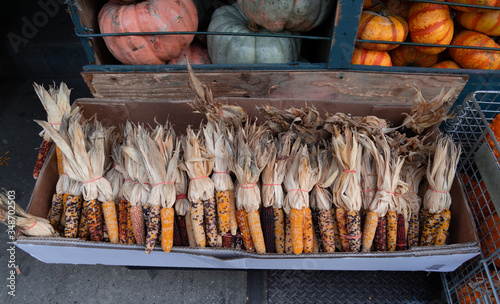 Corn and pumpkins at a small street market