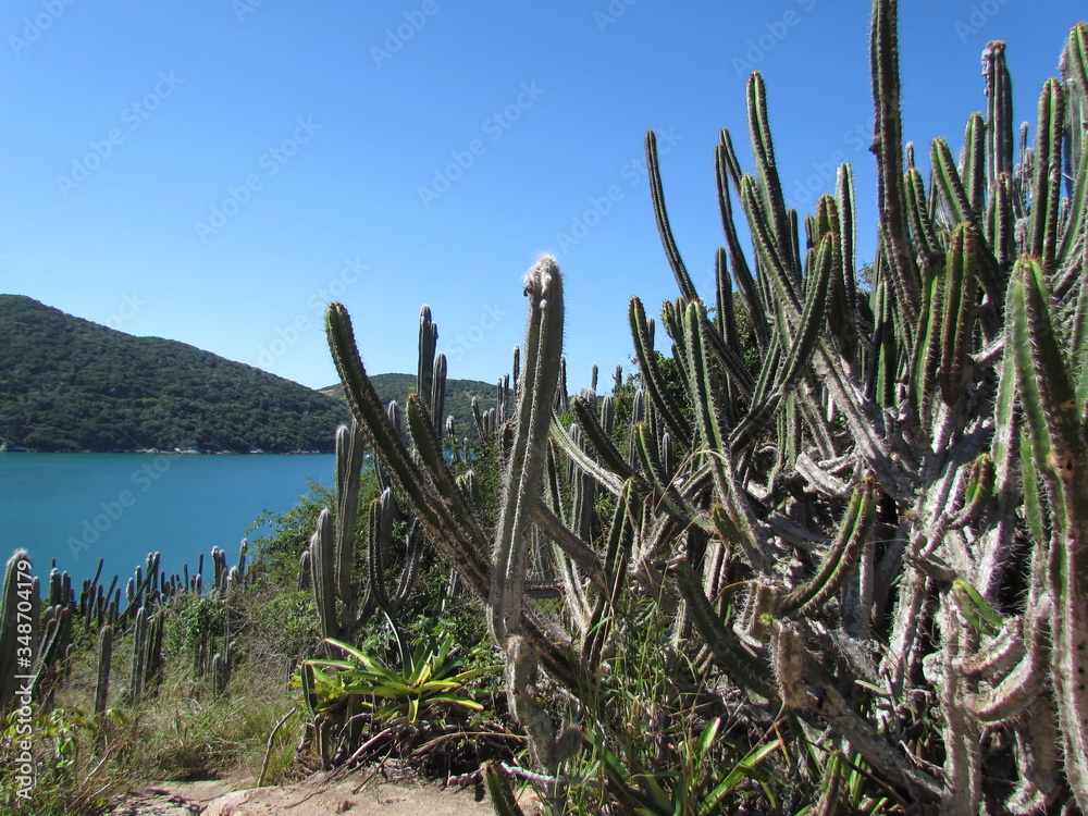 Partial view of Arraial do Cabo with emphasis on Praia dos Anjos Partial view of Arraial do Cabo with emphasis on Praia dos Anjos