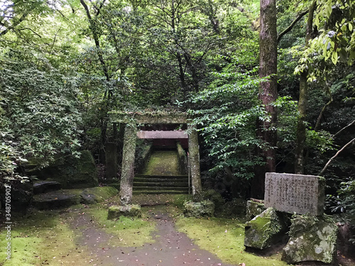 Scene of Jigenji Park in Kagoshima