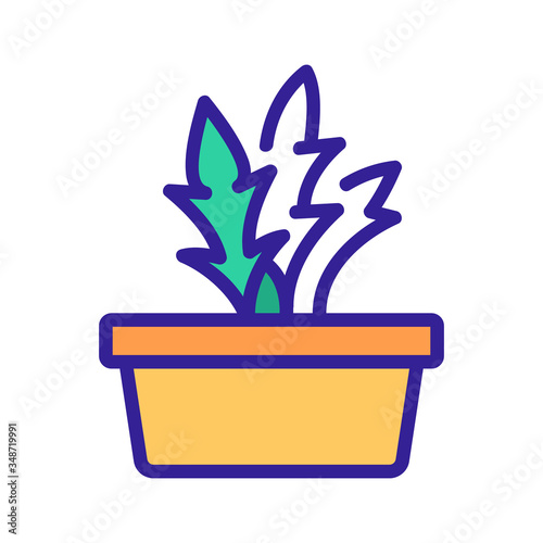 home grown arugula icon vector. home grown arugula sign. color symbol illustration