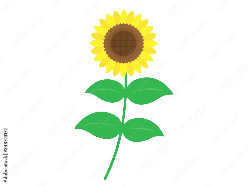 Obraz premium 向日葵の花のイラスト
