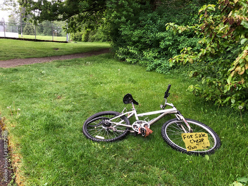 Abandon bike for sale in park