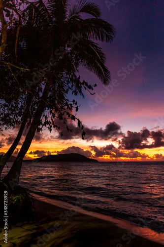 Palm trees silhouetted against a beautiful colorful sunset