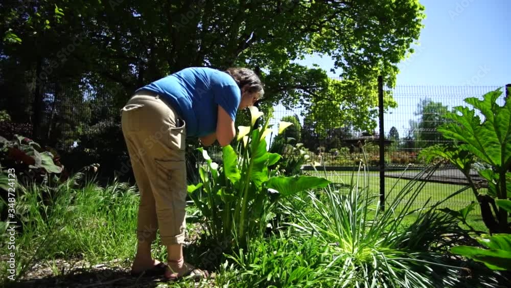 A lone woman leans over a fragrant lily to smell its pleasant aroma A lone woman leans over a fragrant lily to smell its pleasant aroma