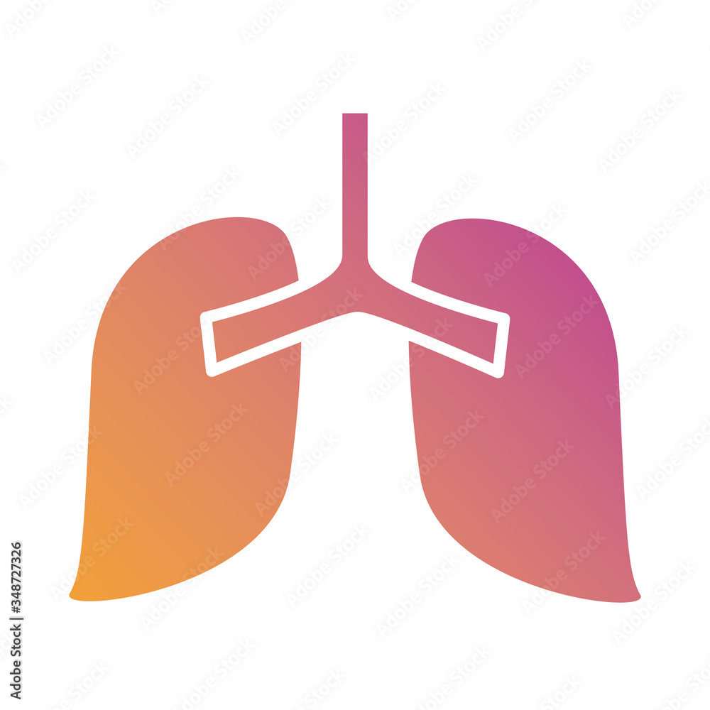 lungs human organ gradient silhouette style lungs human organ gradient silhouette style