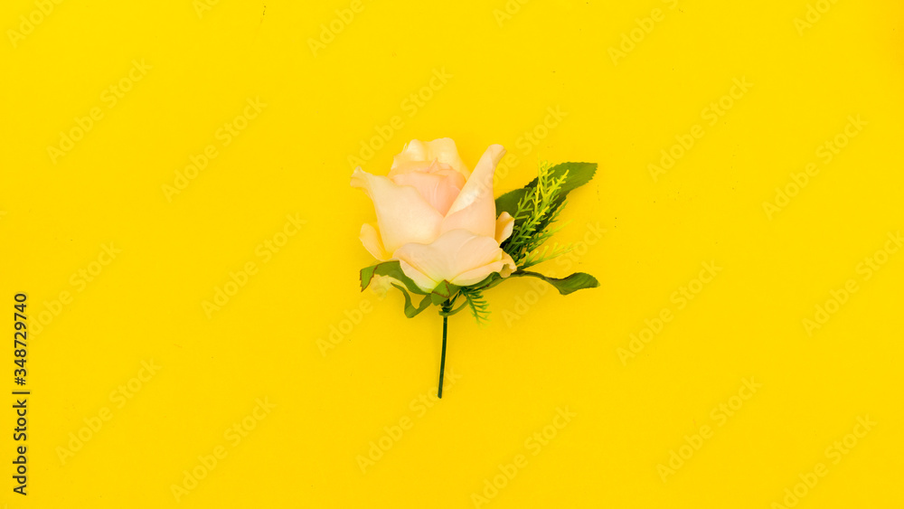 rose top view on yellow background minimalistic concept