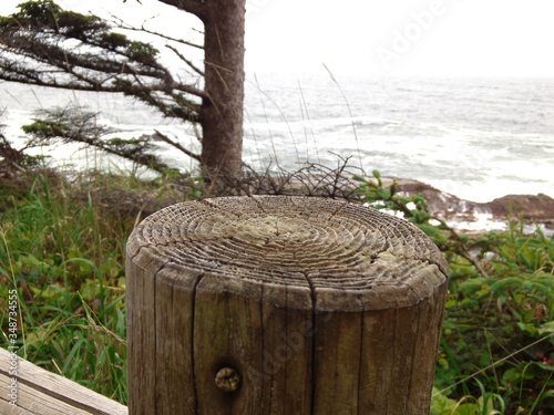 wooden fence on the beach