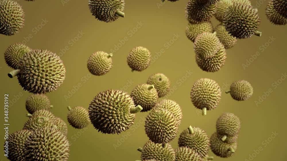 Durian fruit drop down falling from top. 3D animation. Selective focus. 4K