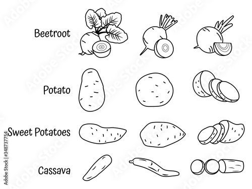 line art tuber icons . Vector sweet potato, cassava, beetroot, and potato