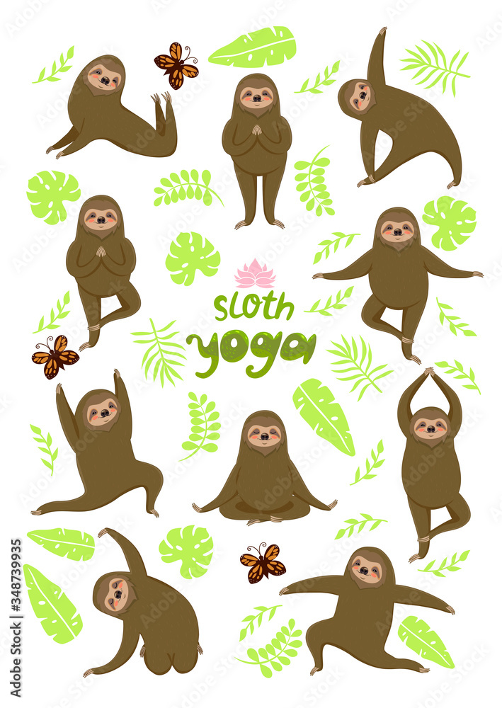Fototapeta premium Sloth yoga. Different poses. Sloths isolated on a white background. Vector graphics.