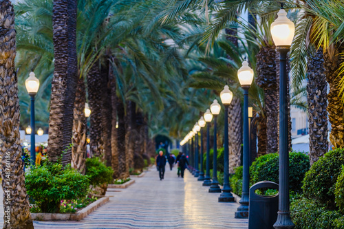 Esplanada Boulevard in the city of Alicante. Alicante province. Spain photo