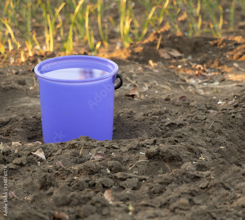 A bucket of water in the garden for watering the plants © gicku91