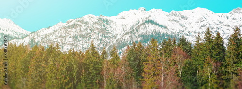 The mountainous Alpine landscape. High snow-capped mountains with sharp peaks, rocks and cliffs under a clear blue sky. Large coniferous forest at the foot of the mountains. 