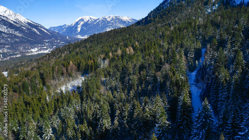 Alpine valley. A large coniferous forest under the snow-capped peaks of the Alpine mountains.