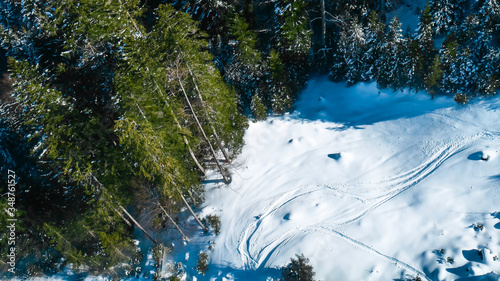 Coniferous forest at the foot of the mountains, top view. The ground is covered with snow, snowboard tracks on the snow. Winter season of skiing and snowboarding, extreme sports. 