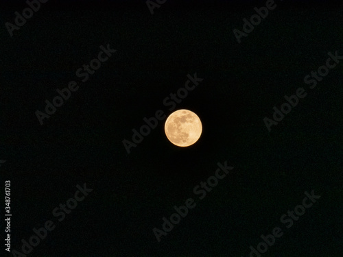 euro coin on black background photo