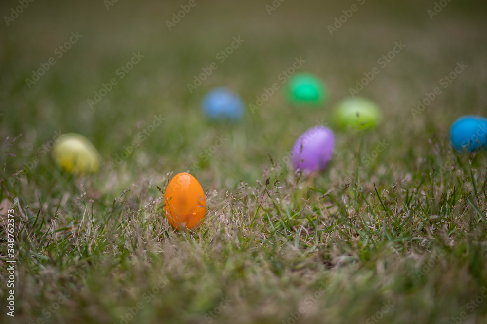 Fototapeta premium easter eggs in the grass
