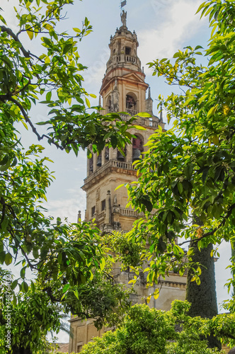 Patio de los Naranjos de la Mezquita-Catedral Córdoba