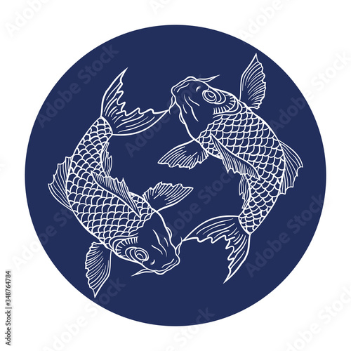 Yin Yang Koi fish vector illustration. Realistic detailed hand drawn illustration of two koi carps swimming on background. Tattoo style image symbolizing