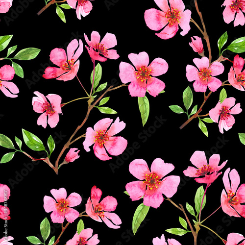Watercolor cherry blossom flower seamless pattern. Sakura beautiful spring floral template. Colorful illustration on black background. Perfectly for wallpaper  print  fabric