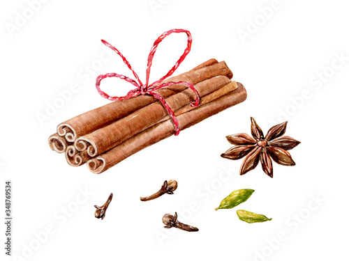 Set of watercolor cinnamon sticks and tea spices anise, cloves, cardamom on white background.