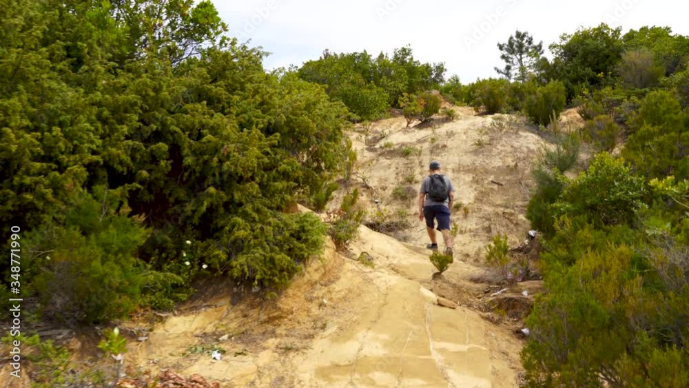 Boy climbing rocks on mountain footpath with sharp slopes between lush vegetation and flowers Boy climbing rocks on mountain footpath with sharp slopes between lush vegetation and flowers
