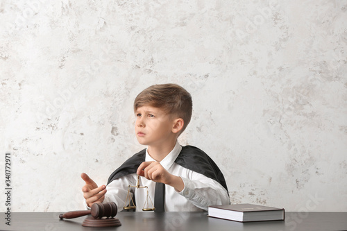 Portrait of little judge si...
