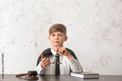 Portrait of little judge si...