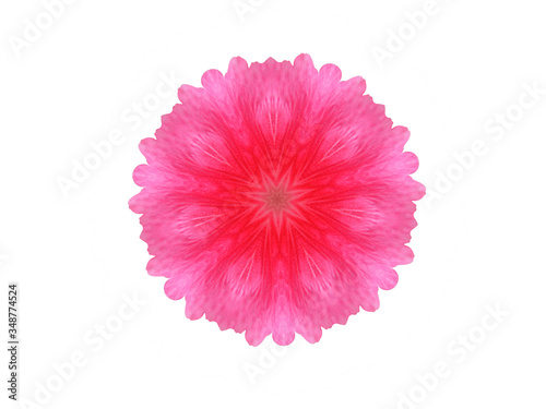 Pink and red hibiscus flowers on a white background