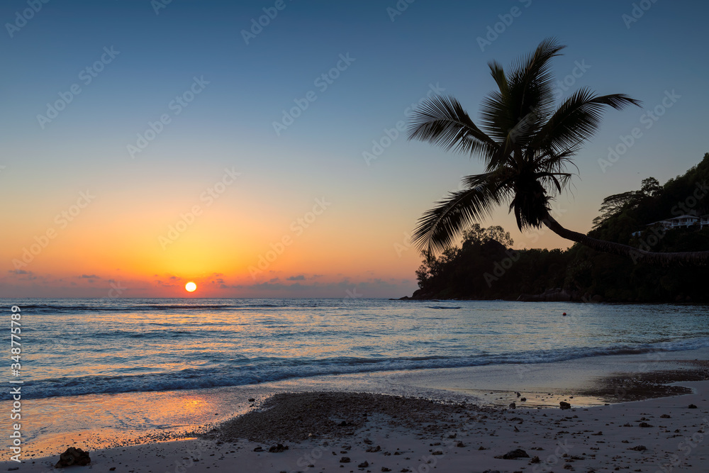 Beautiful sunset at tropical beach with palms silhouette  in Jamaica island.	